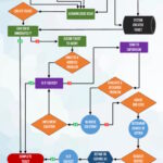 A poster showing eJMB's work flow chart.
